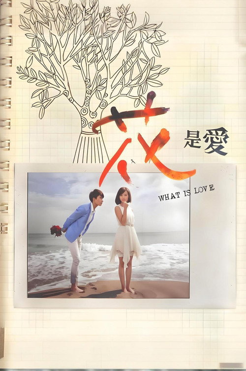 花是爱 封面