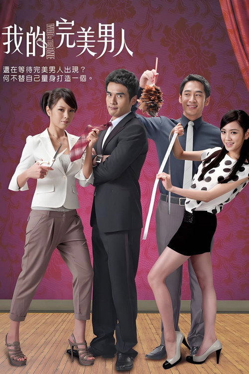 我的完美男人 封面