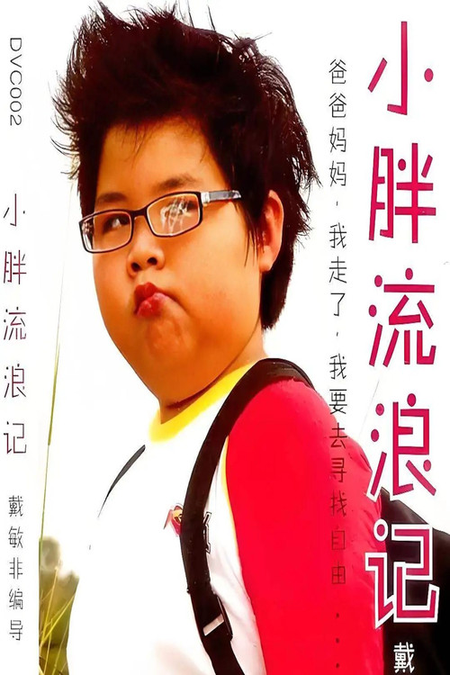小胖流浪记 封面