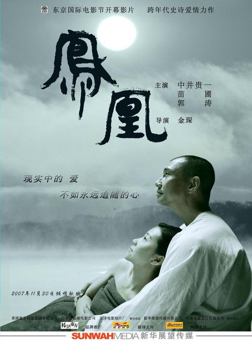 凤凰 封面