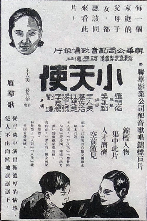 小天使 封面