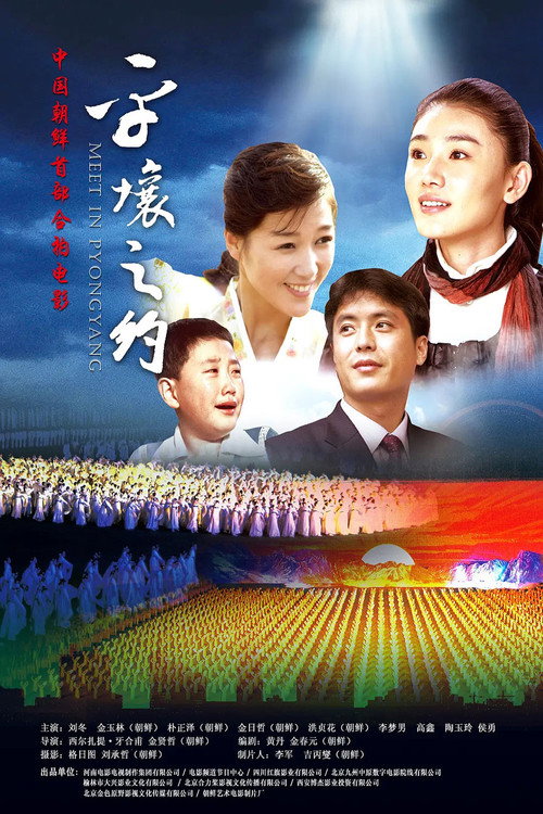 平壤之约 封面