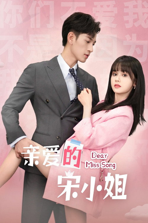 亲爱的宋小姐 封面