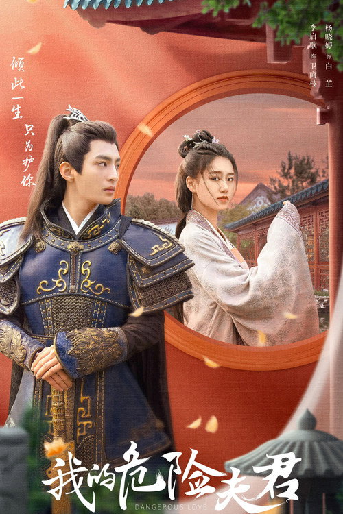 我的危险夫君 封面