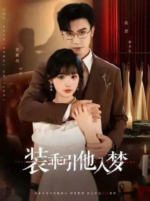 装乖引他入梦 封面