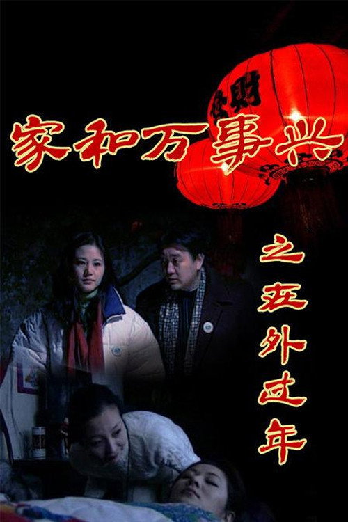 家和万事兴之在外过年 封面