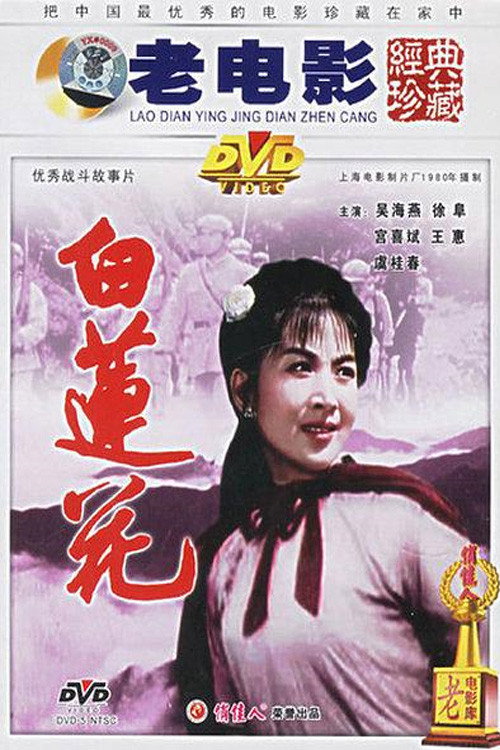 白莲花 封面
