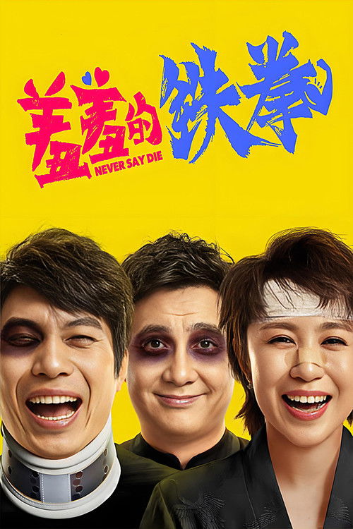 羞羞的铁拳 封面