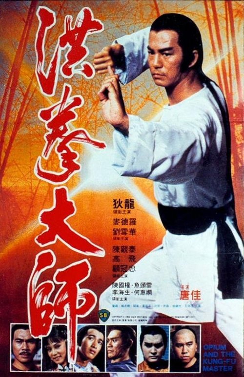 洪拳大师 封面