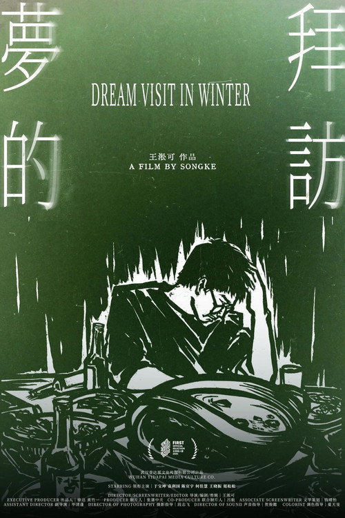 梦的拜访 封面