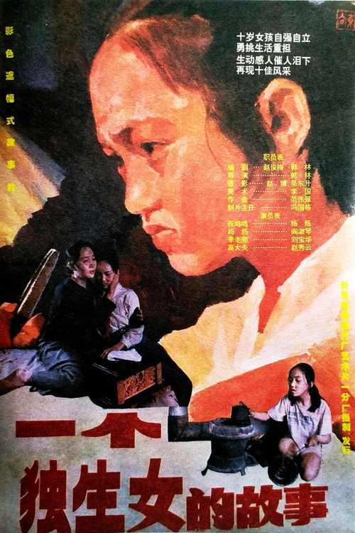 一个独生女的故事 封面