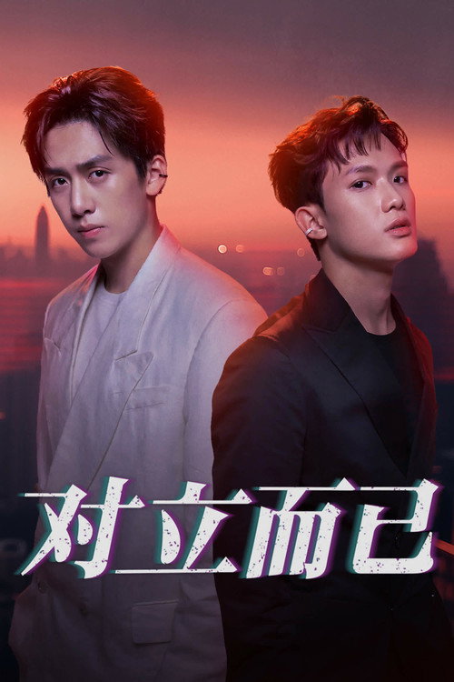 对立而已 封面