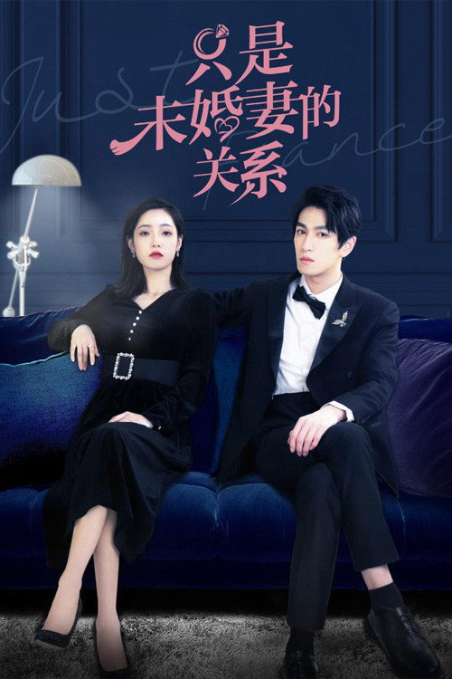 只是未婚妻的关系 封面