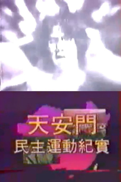 天安门民主运动纪实 封面