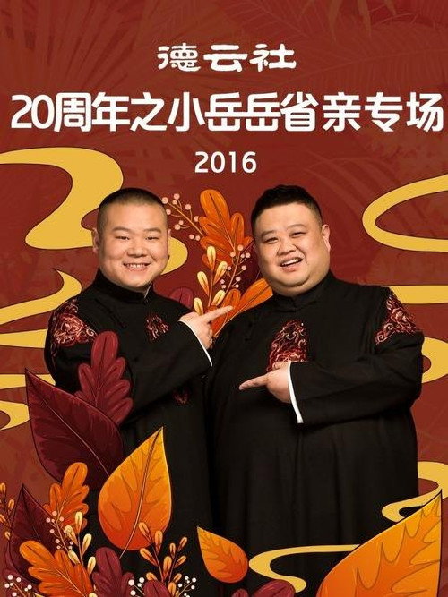 德云社20周年之小岳岳省亲专场 封面