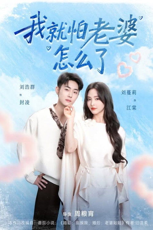 我就怕老婆怎么了 封面