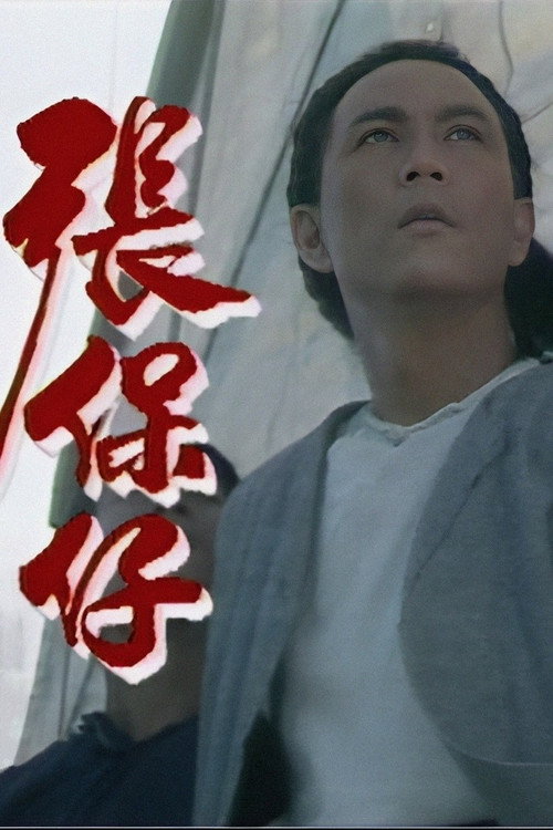 张保仔 封面