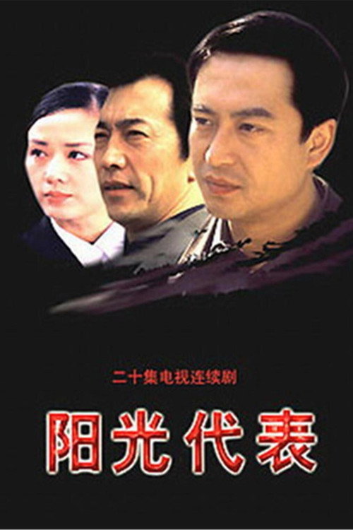 阳光代表 封面