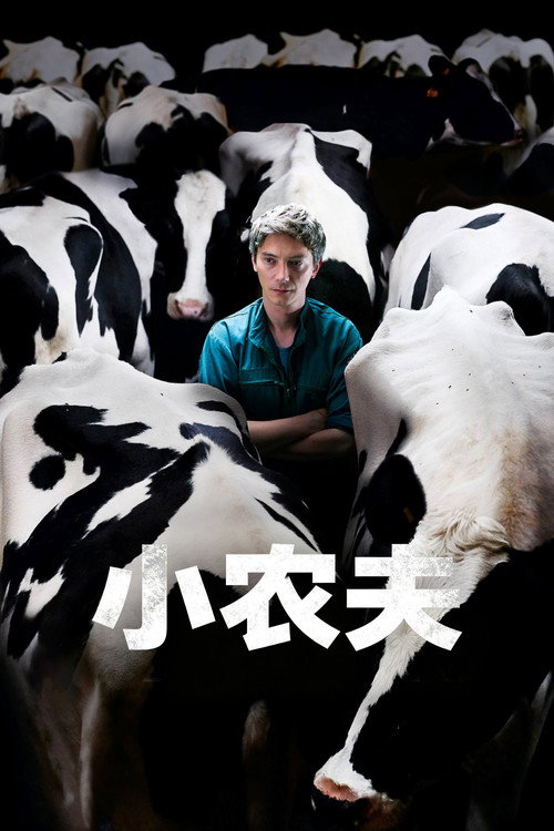 小农夫 封面
