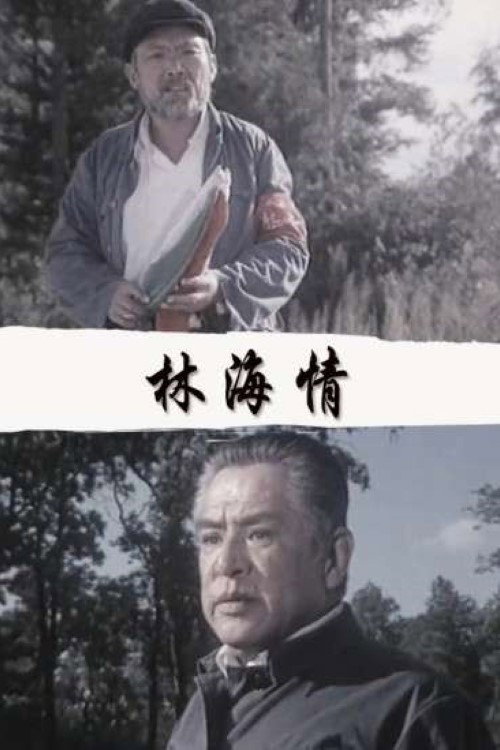 林海情 封面