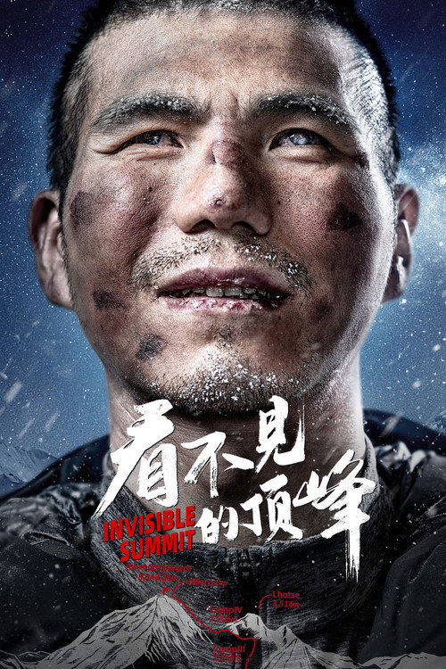 看不见的顶峰 封面