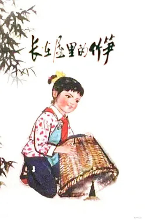 长在屋里的竹笋 封面