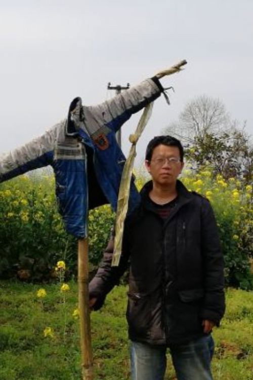 还乡 封面