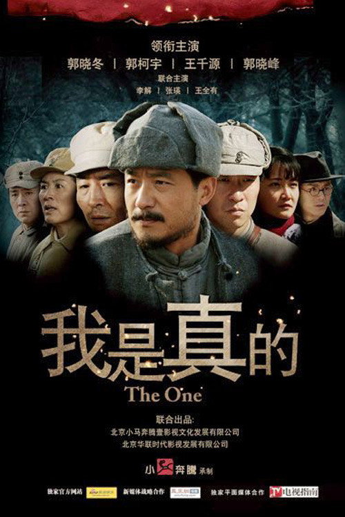 我是真的 封面