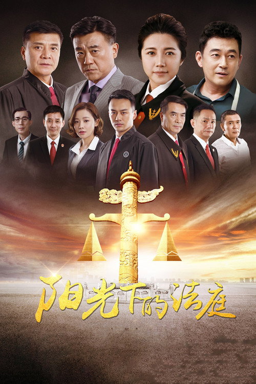 阳光下的法庭 封面