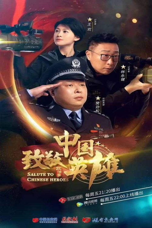 致敬中国英雄 封面