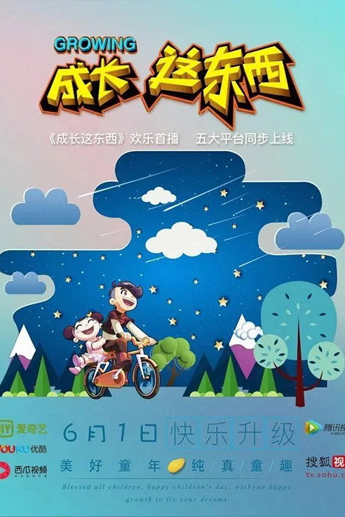 成长这东西 封面