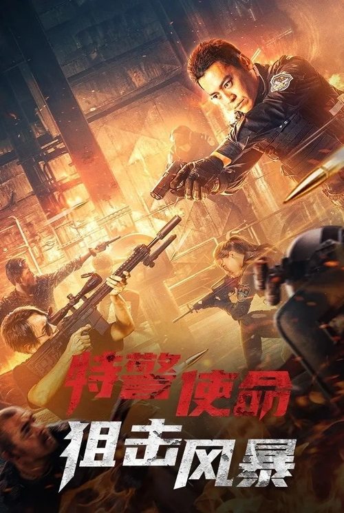 特警使命之狙击风暴 封面