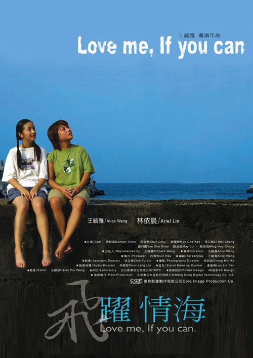 飞跃情海(台版) 封面