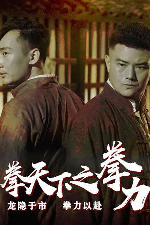 拳天下之拳力 封面