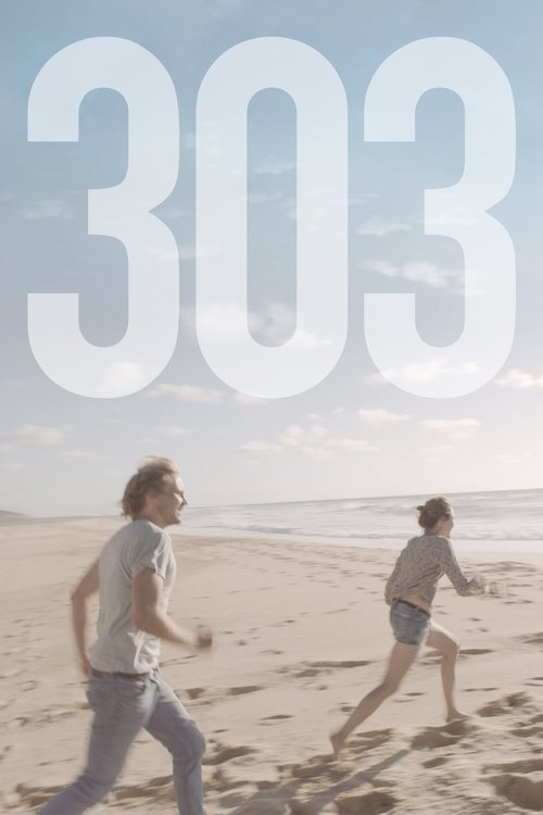 303 封面