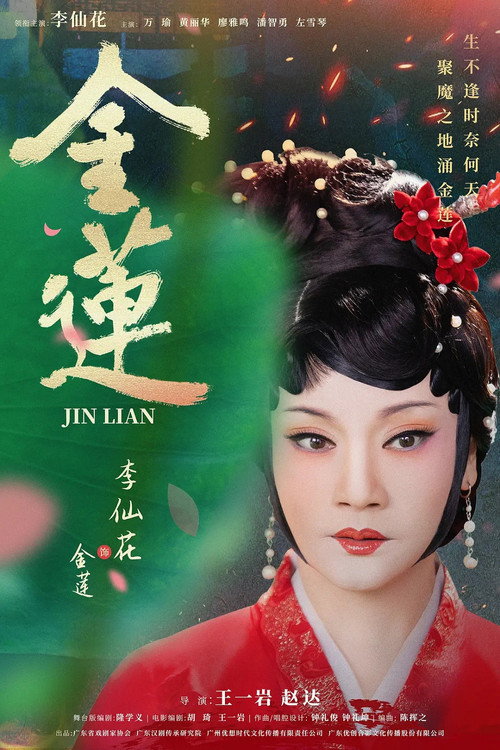 金莲 封面