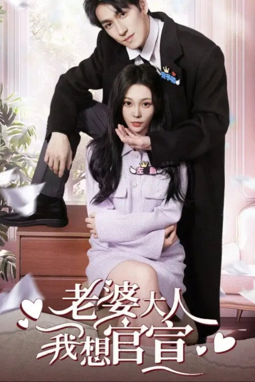 老婆大人我想官宣 封面