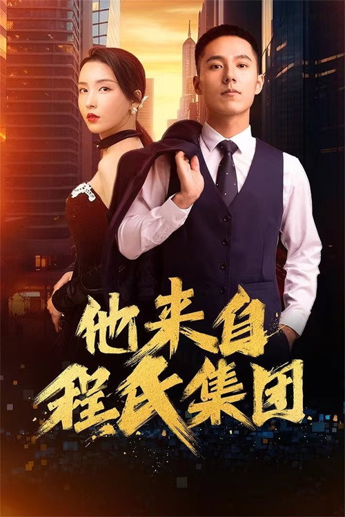 他来自程氏集团 封面