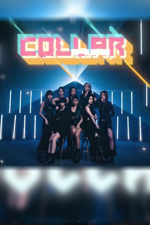 我们是COLLAR 封面