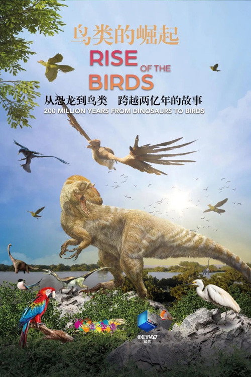 鸟类的崛起 封面