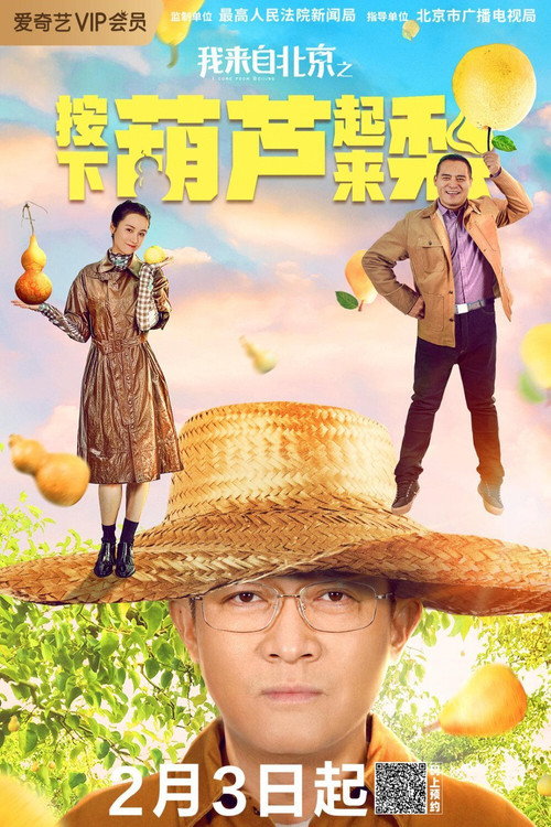 我来自北京之按下葫芦起来梨 封面