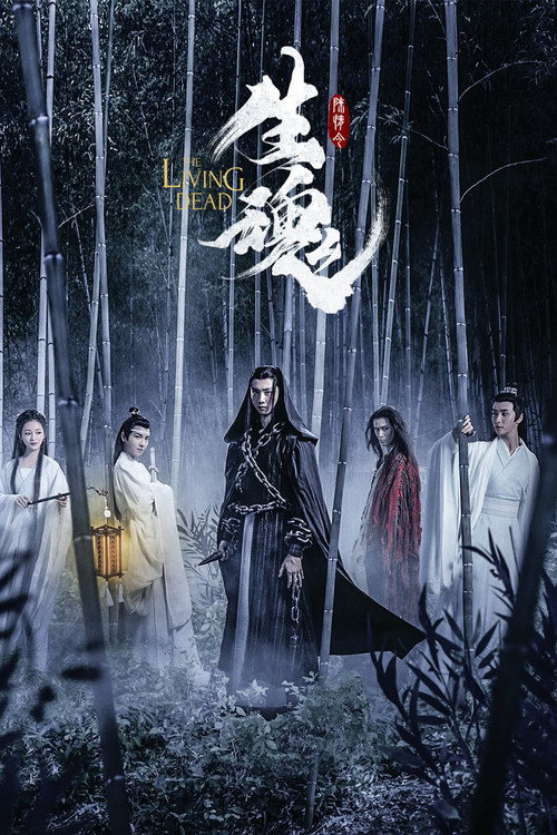 陈情令之生魂 封面