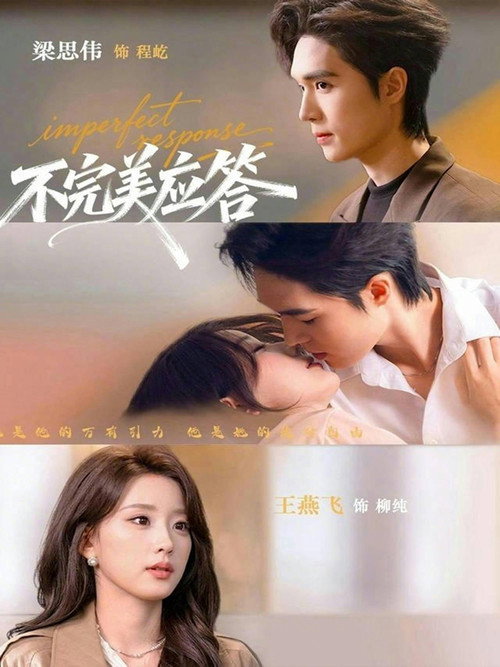 不完美应答 封面