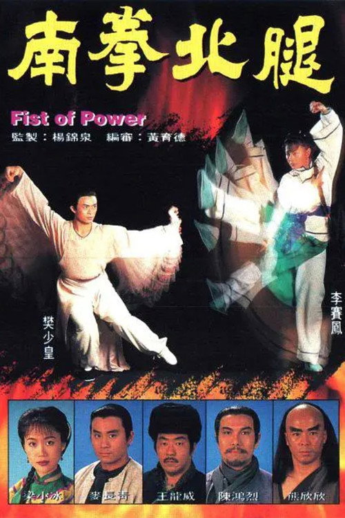 南拳北腿 封面