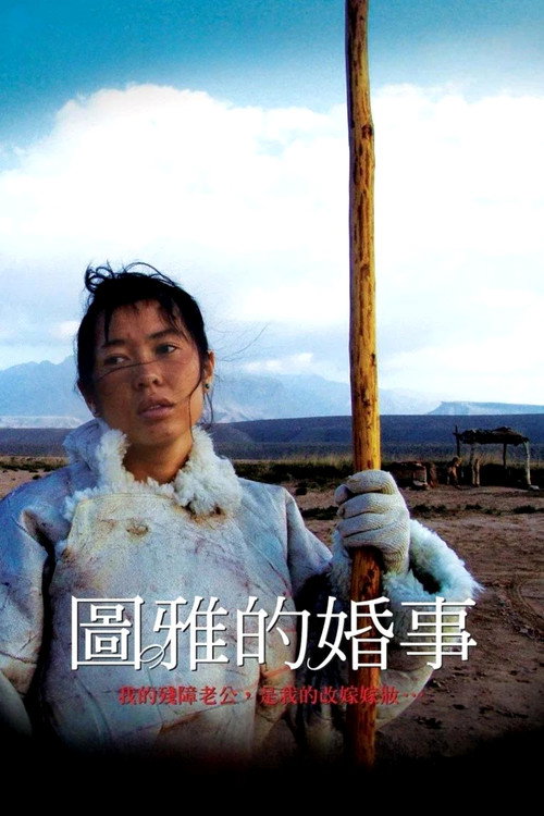 图雅的婚事 封面
