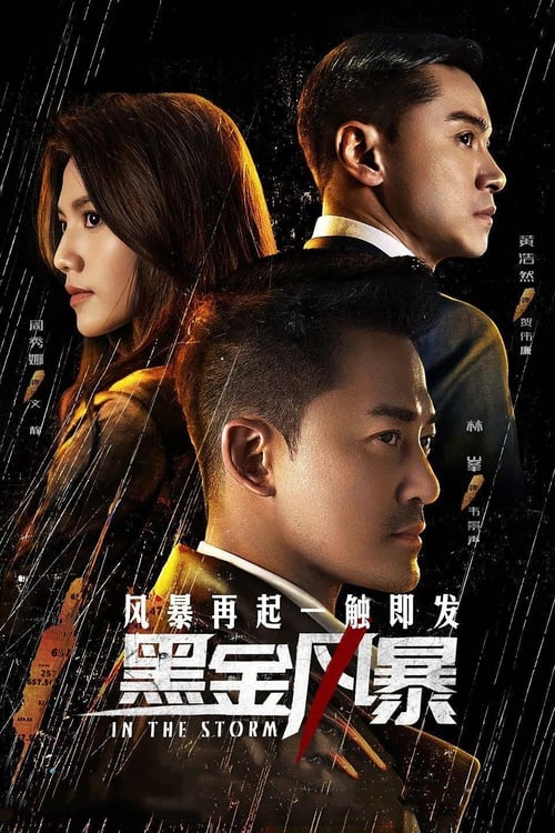黑金风暴 封面