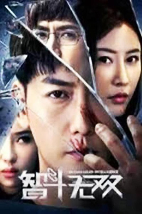 智斗无双 封面