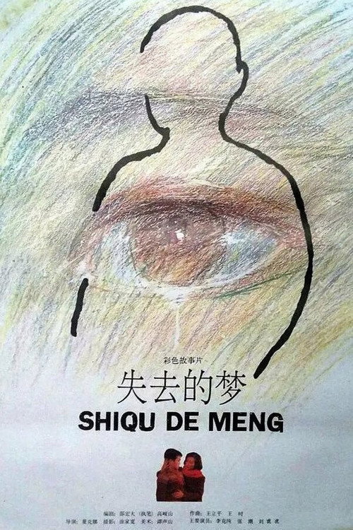 失去的梦 封面