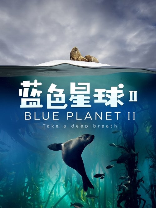 蓝色星球 2 封面