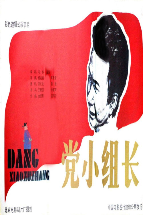 党小组长 封面